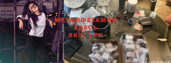 шишки Белокуриха