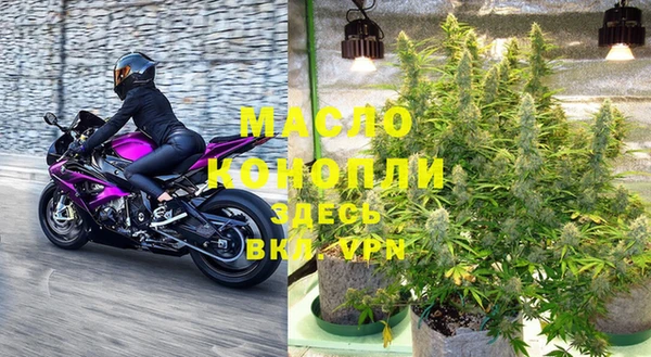 шишки Белокуриха