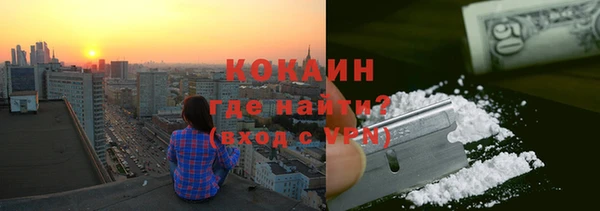 шишки Белокуриха
