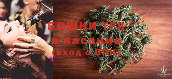 шишки Белокуриха