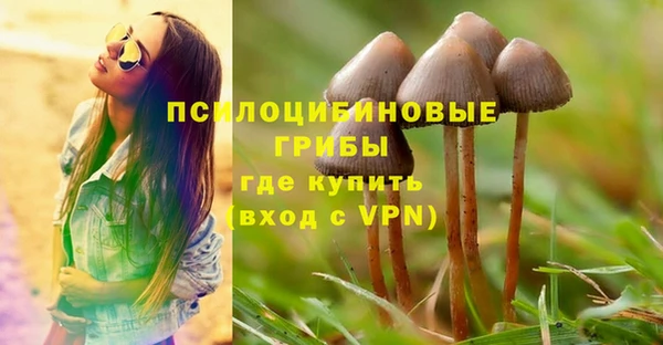 кокс Россошь