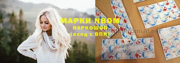 шишки Белокуриха
