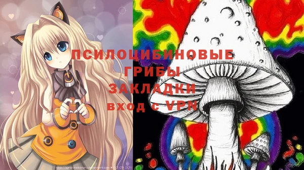 мет Аркадак