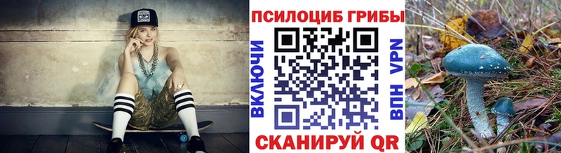 где продают   Качканар  Псилоцибиновые грибы ЛСД 